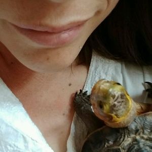 Meet your Posher, Kookie